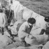 Подготовка рыбной муки  к выгрузке - БМРТ-355 АНТОН ТАММСААРЕ  11 12 1973