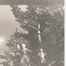 пионерский  лагерь  Валкла. 1964 г. Барабанщик и горнист  на  вышке  перед  началом  линейки