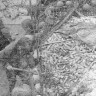 Грушич Александр рыбмастер занят подачей рыбы-сырца в  цех - БМРТ-333 Юхан Сютисте 04 11 1976