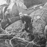 Демьянец Владимир  со своей бригадой  обрабатывает улов - БМРТ-555 Феодор Окк  08 02 1973