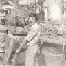 Рядом с  Валентном механиком штурман и небольшая акула молот Гвинея-бисау. 1980 год.