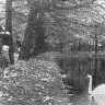 Золотая осень в парке Кадриорг – 05 10 1966