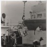 Разгрузка судна в порту - РР-1270 15 06 1968