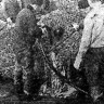 выливка рыбы в бункер март 1968 БМРТ 436 Осваиваем пелагический лов