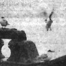 Чайки отдыхают на воде или на планшире - БМРТ-333 07 10 1967