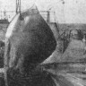 Скат на палубе – БМРТ-229 Ганс Леберехт 11 03 1967 фото моториста В. Рубана