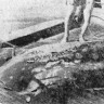 В трале рыба-луна…отпустили на волю –  БМРТ-355 август  1966