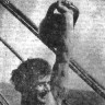 На открытой палубе тренируются гиревики - БМРТ-333 23  12 1967