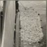 полный трал окуня с бортом судна - СРТР-9041 Верги  1965