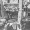 Грекович А. тралмастер с бригадой освобождает куток от рыбы – БМРТ-227 Аугуст Алле  08 10 1964