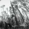 егерь Уно Саал на делянке лесничества  Южного Кулламаа песчаного карьера в Мяннику . 1982