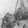 Клейменов и Федоров  матросы БМРТ-604 Рудольф Сирге на погрузке продуктом, доставленных из порта Галифакс на   СРТ-4511 – 30 03 1974