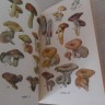 книга - разворот - Съедобные и не съедобные грибы ЭССР