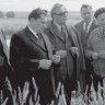 На полях опытного хозяйства по выращиванию зерновых культур. 1971 г.