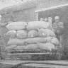 Первая   бригада  ТМРП   разгружает  рыбопродукцию с   ТР Иней -  20 04 1976