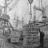 Таллинский   морской  рыбный   порт.    Идет  выгрузка   рыбной  продукции – 21 10 1976