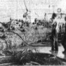 Литвинов Андрей старший тралмастер руководит загрузкой рыбы в бункер – БМРТ-489  10 10 1969