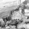 Взят богатый улов – БМРТ-227 Аугуст Алле  08 10 1964 фото П. Кудрина