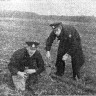 курсанты Таллинской мореходной школы на полях совхоза Мартна убирают урожай - 26 10 1978