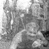 Аврал под небом Африки  - БМРТ-355   15 02 1967 фото  Марка Никольского