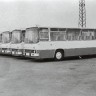 автобусы  Икарус- 255  таллиннского автобусного парка 1975
