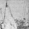 рыбаки вместе с уловом подняли на палубу  гигантского ската - РТМ-7229  Юхан Смуул 01 10 1974